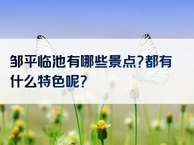 邹平临池有哪些景点？都有什么特色呢？