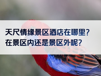 天尺情缘景区酒店在哪里？在景区内还是景区外呢？
