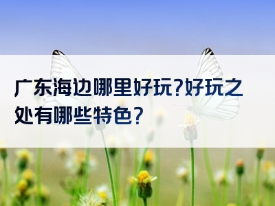 广东海边哪里好玩？好玩之处有哪些特色？