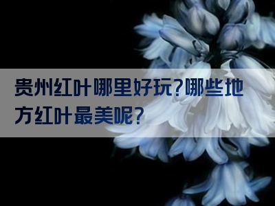贵州红叶哪里好玩？哪些地方红叶最美呢？