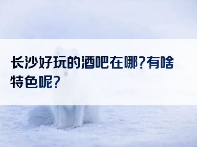 长沙好玩的酒吧在哪？有啥特色呢？