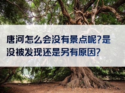 唐河怎么会没有景点呢？是没被发现还是另有原因？