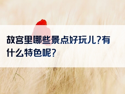 故宫里哪些景点好玩儿？有什么特色呢？