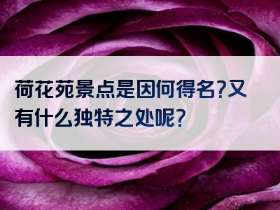 荷花苑景点是因何得名？又有什么独特之处呢？