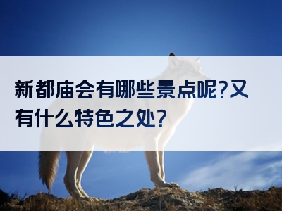 新都庙会有哪些景点呢？又有什么特色之处？