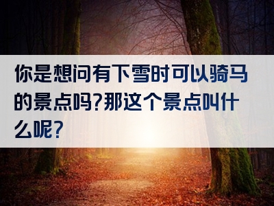 你是想问有下雪时可以骑马的景点吗？那这个景点叫什么呢？