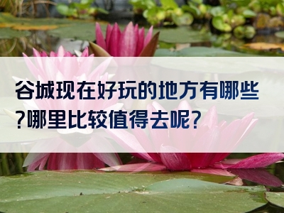 谷城现在好玩的地方有哪些？哪里比较值得去呢？