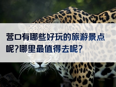 营口有哪些好玩的旅游景点呢？哪里最值得去呢？