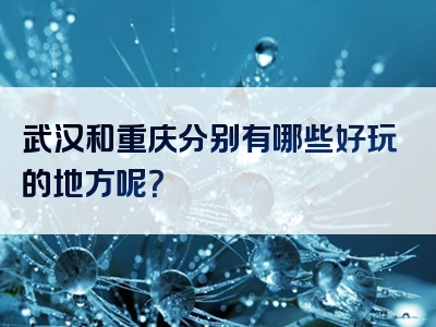 武汉和重庆分别有哪些好玩的地方呢？