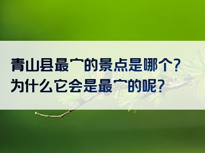 青山县最穷的景点是哪个？为什么它会是最穷的呢？