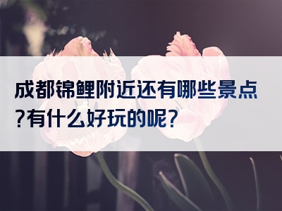 成都锦鲤附近还有哪些景点？有什么好玩的呢？