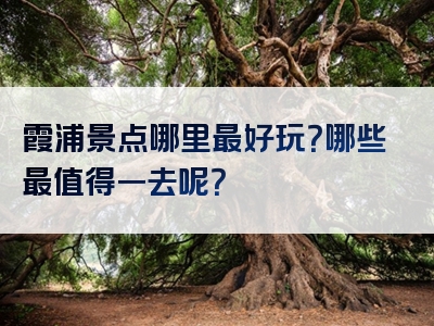 霞浦景点哪里最好玩？哪些最值得一去呢？