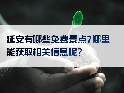 延安有哪些免费景点？哪里能获取相关信息呢？