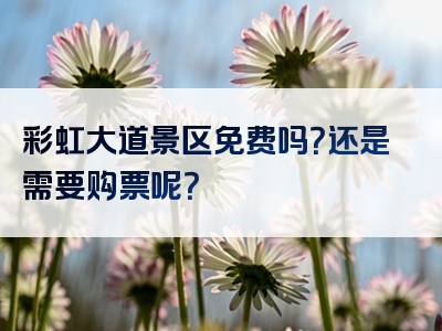彩虹大道景区免费吗？还是需要购票呢？