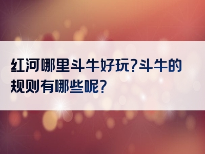 红河哪里斗牛好玩？斗牛的规则有哪些呢？