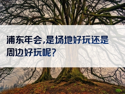 浦东年会，是场地好玩还是周边好玩呢？