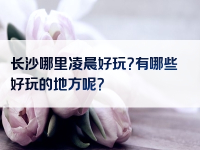 长沙哪里凌晨好玩？有哪些好玩的地方呢？