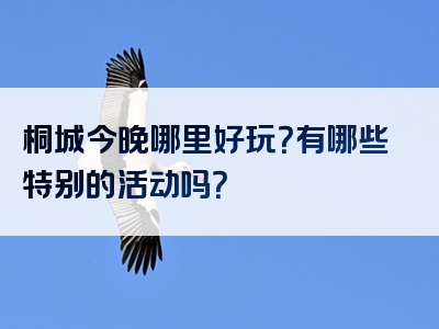 桐城今晚哪里好玩？有哪些特别的活动吗？