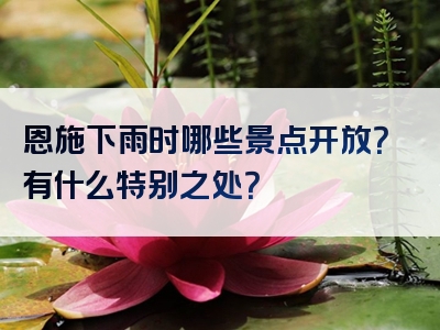 恩施下雨时哪些景点开放？有什么特别之处？