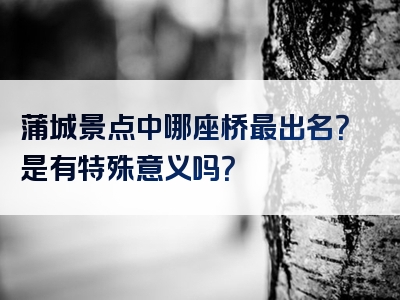 蒲城景点中哪座桥最出名？是有特殊意义吗？