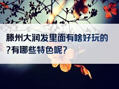滕州大润发里面有啥好玩的？有哪些特色呢？
