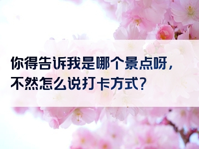 你得告诉我是哪个景点呀，不然怎么说打卡方式？