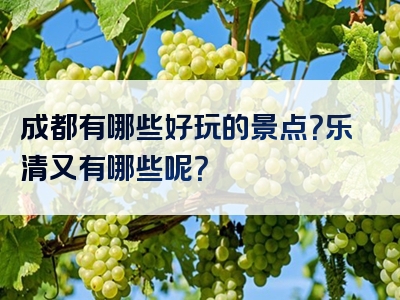 成都有哪些好玩的景点？乐清又有哪些呢？
