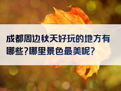 成都周边秋天好玩的地方有哪些？哪里景色最美呢？