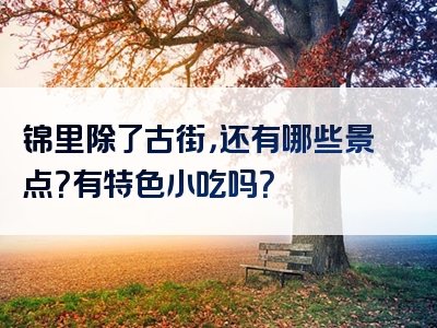 锦里除了古街，还有哪些景点？有特色小吃吗？