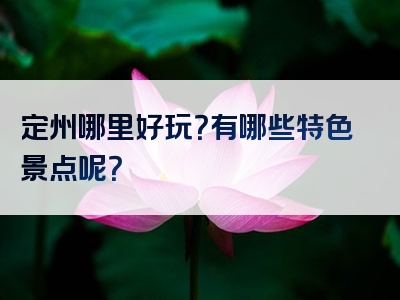 定州哪里好玩？有哪些特色景点呢？