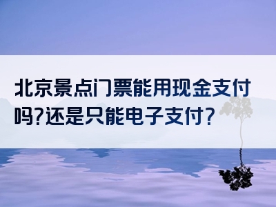 北京景点门票能用现金支付吗？还是只能电子支付？