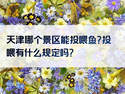 天津哪个景区能投喂鱼？投喂有什么规定吗？