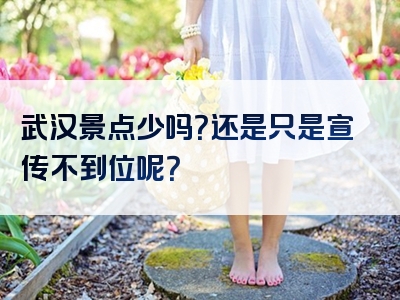 武汉景点少吗？还是只是宣传不到位呢？
