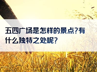 五四广场是怎样的景点？有什么独特之处呢？