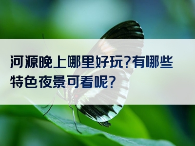 河源晚上哪里好玩？有哪些特色夜景可看呢？