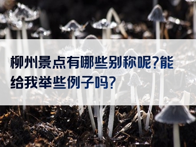 柳州景点有哪些别称呢？能给我举些例子吗？