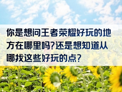 你是想问王者荣耀好玩的地方在哪里吗？还是想知道从哪找这些好玩的点？