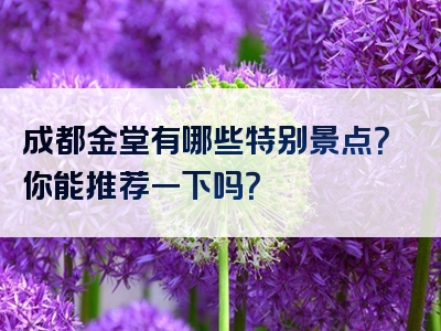 成都金堂有哪些特别景点？你能推荐一下吗？
