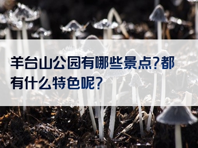 羊台山公园有哪些景点？都有什么特色呢？