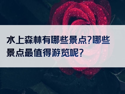 水上森林有哪些景点？哪些景点最值得游览呢？