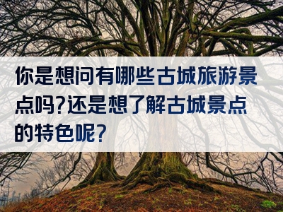 你是想问有哪些古城旅游景点吗？还是想了解古城景点的特色呢？