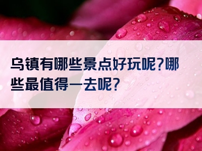 乌镇有哪些景点好玩呢？哪些最值得一去呢？