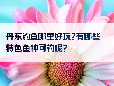 丹东钓鱼哪里好玩？有哪些特色鱼种可钓呢？