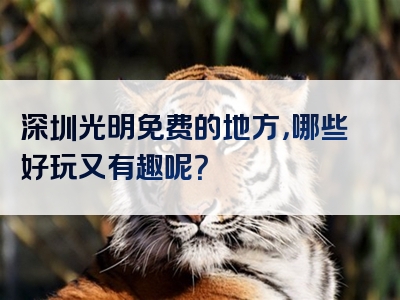 深圳光明免费的地方，哪些好玩又有趣呢？