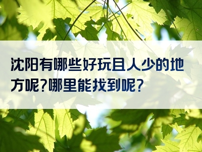 沈阳有哪些好玩且人少的地方呢？哪里能找到呢？