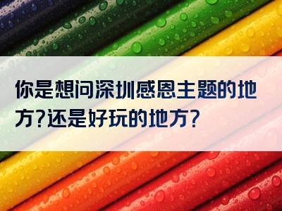 你是想问深圳感恩主题的地方？还是好玩的地方？