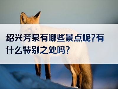 绍兴芳泉有哪些景点呢？有什么特别之处吗？
