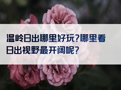 温岭日出哪里好玩？哪里看日出视野最开阔呢？