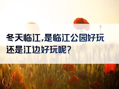 冬天临江，是临江公园好玩还是江边好玩呢？