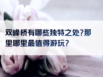 双峰桥有哪些独特之处？那里哪里最值得游玩？
